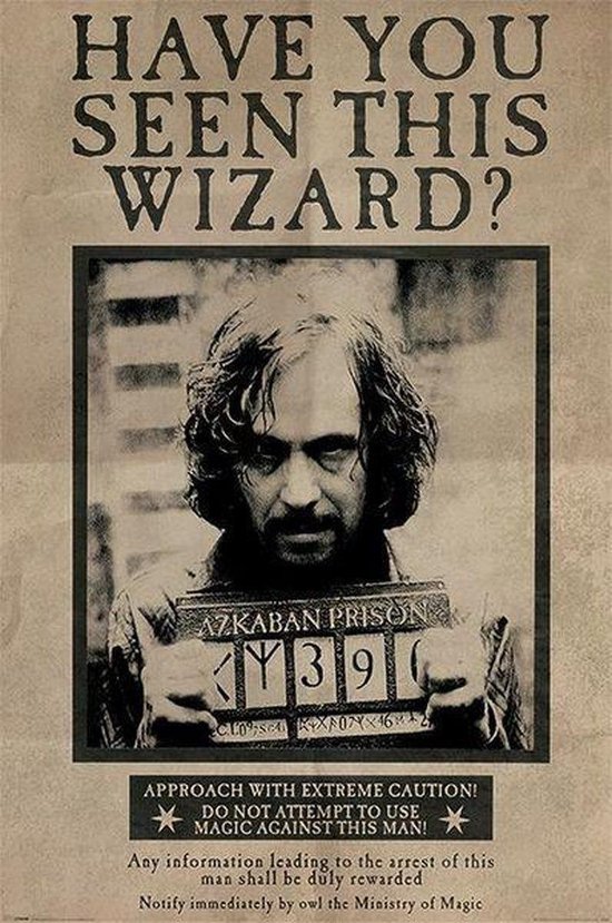 Harry Potter Wanted Sirius Black - Maxi Poster - 61 x 96.5 cm