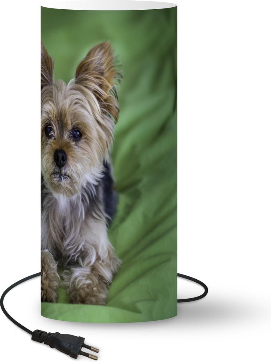 Lamp - Nachtlampje - Tafellamp slaapkamer - Een Yorkshire Terrier ligt op een groen kussen - 70 cm hoog - Ø29.6 cm - Inclusief LED lamp