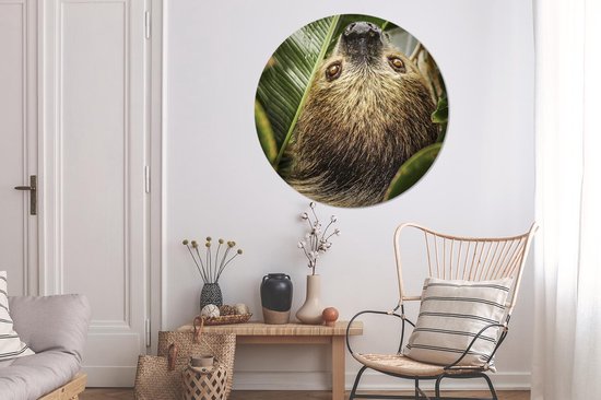 WallCircle - Wall Circle - Wall Circle Indoor - Paresseux - Feuilles - Animal - 140x140 cm - Décoration murale - Peintures Ronds