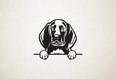 Redbone Coonhound - hond met pootjes - S - 42x50cm - Zwart - wanddecoratie
