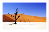 Walljar - Desert in Namibia - Muurdecoratie - Poster