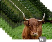 Placemat - Schotse Hooglander - Dieren - Gras - 45x30 cm - 6 stuks - Hittebestendig - Anti-Slip - Onderlegger - Afneembaar