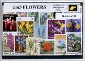 Bol- en knolgewassen – Luxe postzegel pakket (A6 formaat) : collectie van 100 verschillende postzegels van bol- en knolgewassen – kan als ansichtkaart in een A6 envelop - authentiek cadeau - kado - geschenk - kaart - narcis - hycinth - tulp - tulpen