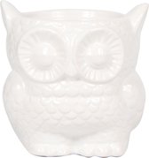 Kolibri Home | Owl bloempot - Witte keramieken sierpot - potmaat Ø9cm