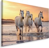 Schilderij - Galopperende paarden op het strand, multi-gekleurd, 4 maten, wanddecoratie