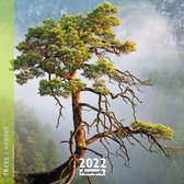 Arbres - Trees Kalender 2022