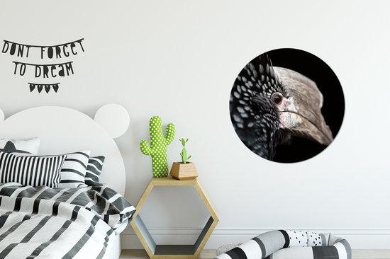 WallCircle - Wall Circle - Wall Circle Indoor - Vogel - Bec - Ressorts - 60x60 cm - Décoration murale - Peintures Ronds