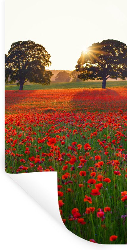 Muurstickers - Sticker Folie - Klaprozen - Bloemenveld - Zon - 20x40 cm - Plakfolie - Muurstickers Kinderkamer - Zelfklevend Behang - Zelfklevend behangpapier - Stickerfolie