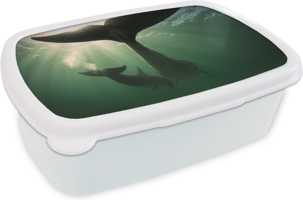 Broodtrommel Wit - Lunchbox - Brooddoos - Dolfijn - Water - Blauw - 18x12x6 cm - Volwassenen