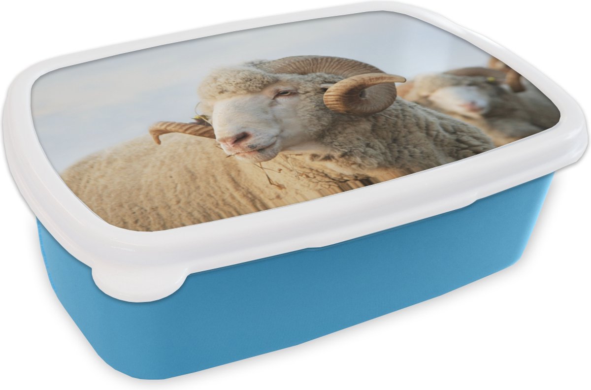 Broodtrommel Blauw - Lunchbox - Brooddoos - Schaap - Ram - Horens - 18x12x6 cm - Kinderen - Jongen