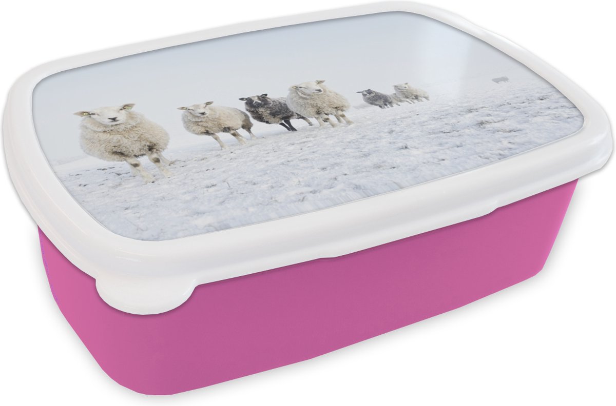 Broodtrommel Roze - Lunchbox - Brooddoos - Schaap - Wol - Sneeuw - 18x12x6 cm - Kinderen - Meisje