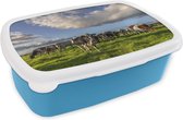 Boîte à lunch Blauw - Boîte à lunch - Boîte à pain - Vaches - Lumière - Herbe - 18x12x6 cm - Enfants - Garçon - Cadeau Sinterklaas - Distribution de cadeaux pour enfants - Cadeaux chaussures Sinterklaas