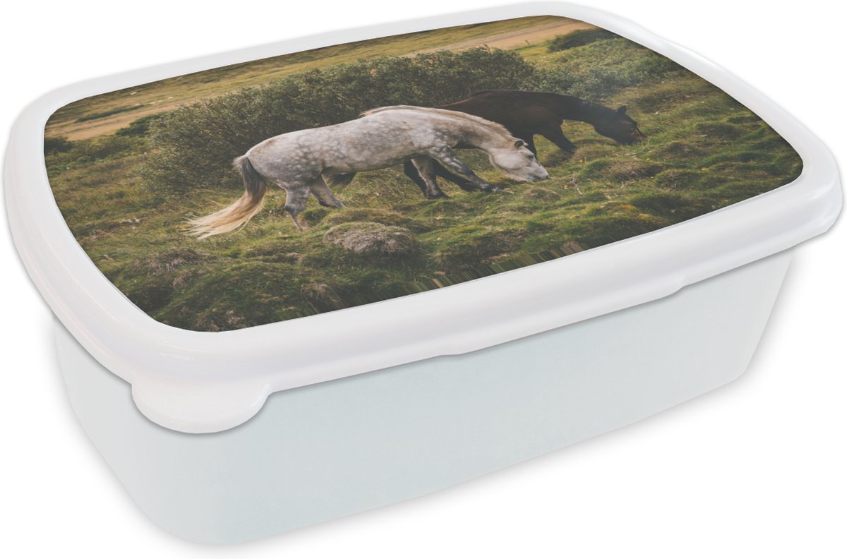 Broodtrommel Wit - Lunchbox - Brooddoos - Paarden - Gras - Struik - 18x12x6 cm - Volwassenen