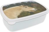 Broodtrommel Wit - Lunchbox - Brooddoos - Close-up van een lichtbruin fjord paard - 18x12x6 cm - Volwassenen