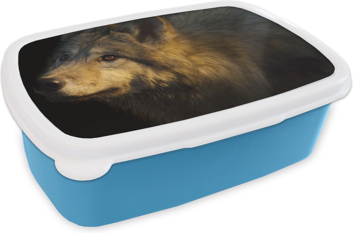 Broodtrommel Blauw - Lunchbox - Brooddoos - Wolf - Goud - Zon - 18x12x6 cm - Kinderen - Jongen