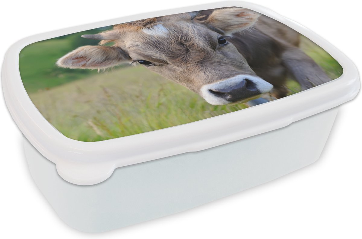Broodtrommel Wit - Lunchbox - Brooddoos - Koe - Hoorn - Landschap - 18x12x6 cm - Volwassenen