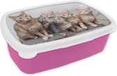 Broodtrommel Roze - Lunchbox - Brooddoos - Kat - Kittens - Vacht - 18x12x6 cm - Kinderen - Meisje