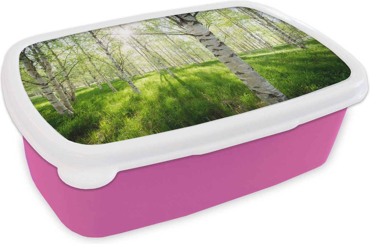 Broodtrommel Roze - Lunchbox - Brooddoos - Berk - Bos - Lente - 18x12x6 cm - Kinderen - Meisje