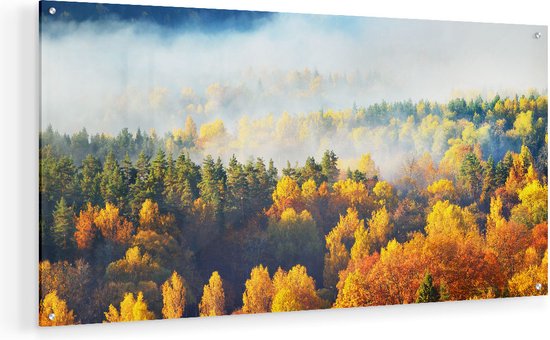 Artaza Glasschilderij - Gekleurde Herfstbos Met Mist - 80x40 - Plexiglas Schilderij - Foto op Glas