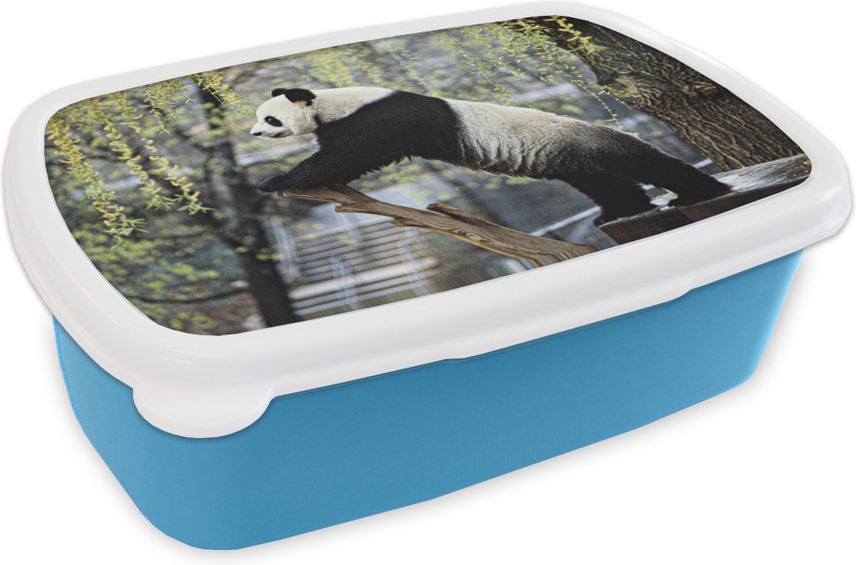 Broodtrommel Blauw - Lunchbox - Brooddoos - Panda - Rivier - Boom - 18x12x6 cm - Kinderen - Jongen