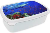 Broodtrommel Wit - Lunchbox - Brooddoos - Haai bij koraalrif - 18x12x6 cm - Volwassenen