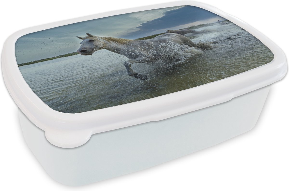 Broodtrommel Wit - Lunchbox - Brooddoos - Paard - Wit - Water - 18x12x6 cm - Volwassenen