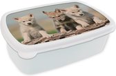Broodtrommel Wit - Lunchbox - Brooddoos - Wolf - Kind - Hout - 18x12x6 cm - Volwassenen
