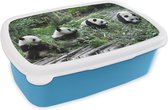 Broodtrommel Blauw - Lunchbox - Brooddoos - Panda - Natuur - Bamboe - 18x12x6 cm - Kinderen - Jongen