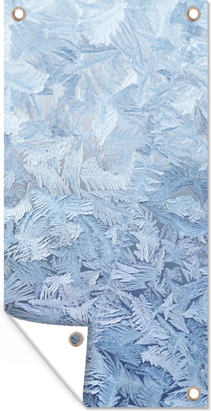 Schuttingposter Bevroren bladeren - 100x200 cm - Tuindoek