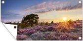 Schuttingposter Heide bij zonsondergang - 200x100 cm - Tuindoek