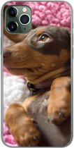 Geschikt voor iPhone 11 Pro Max hoesje - Een Teckel puppy op een roze deken - Siliconen Telefoonhoesje