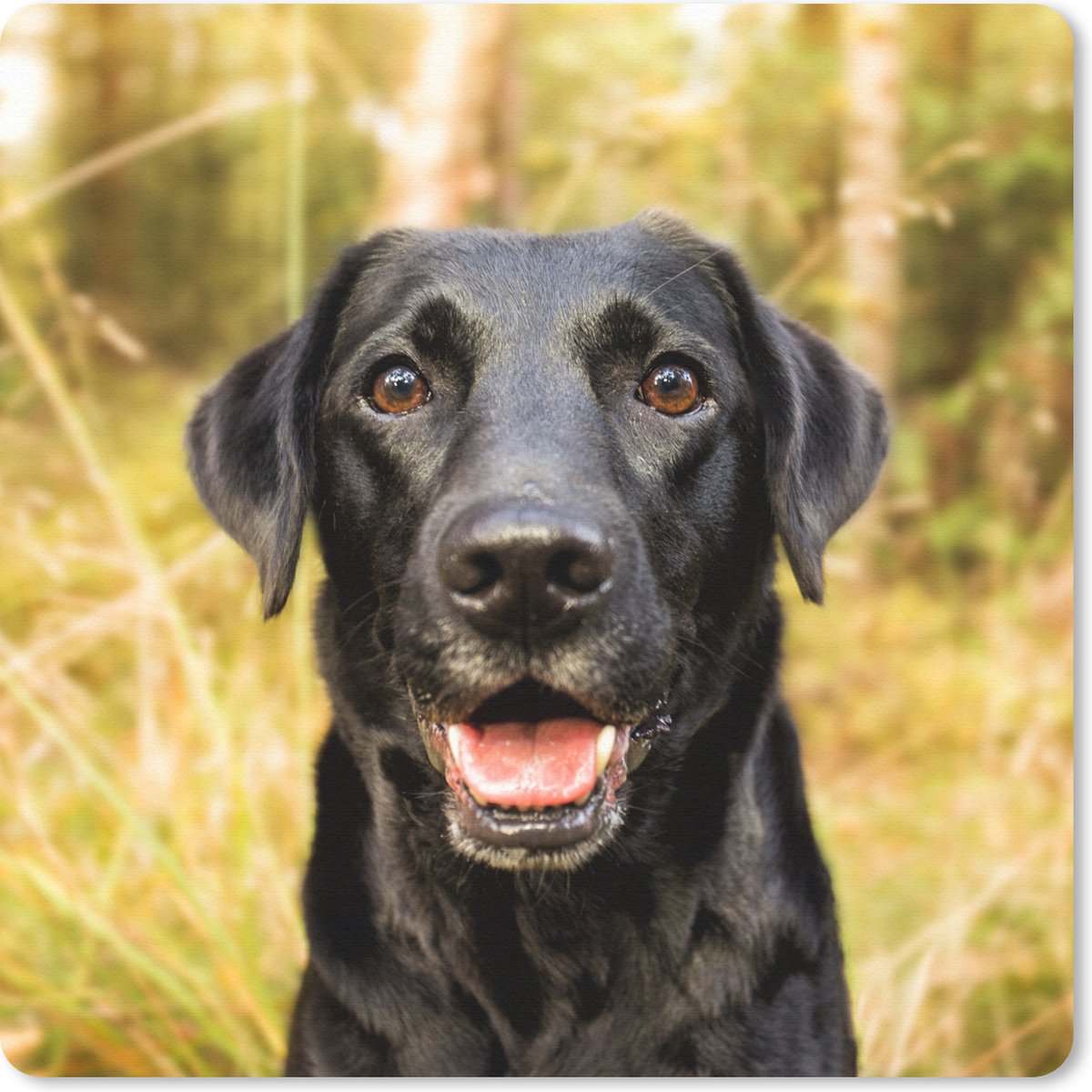 Muismat 30x30 cm - Mousepad Gelukkige zwarte hond - Muismatten