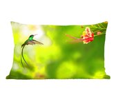Sierkussens - Kussen - Een felgekleurde Kolibrie naast een mooie bloem - 50x30 cm - Kussen van katoen