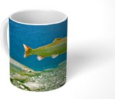 Mok - Atlantische zalm - 350 ML - Beker