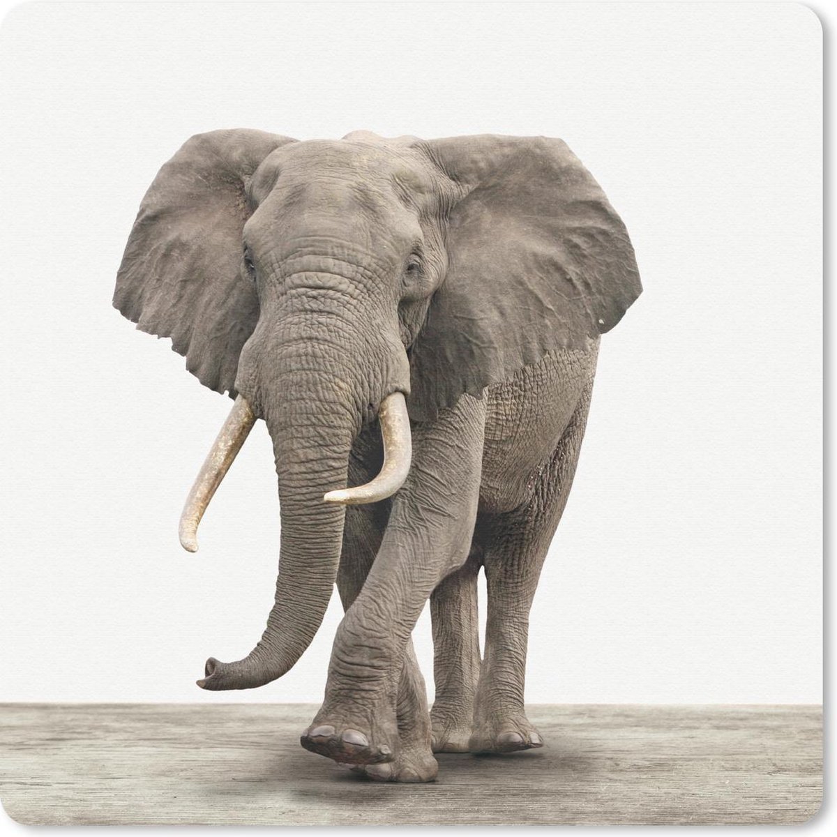 Muismat 20x20 cm - Mousepad Dieren - Olifant - Grijs - Muismatten