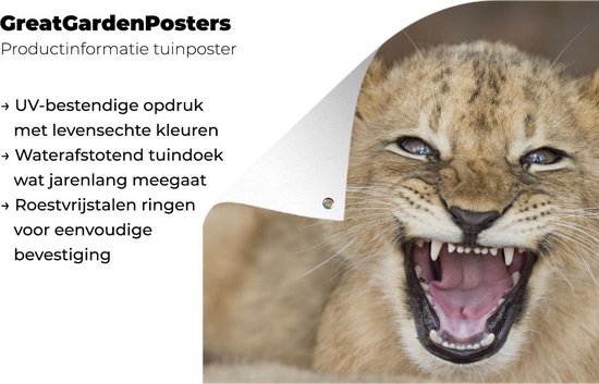 Décoration de Jardin Sauvage - Lion - Jeune - 40x30 cm - Toile de jardin