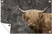 Tuinposters buiten Schotse hooglander - Wereldkaart - Koe - 90x60 cm - Tuindoek - Buitenposter