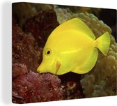 Canvas schilderij 160x120 cm - Wanddecoratie Vis - Geel - Koraal - Muurdecoratie woonkamer - Slaapkamer decoratie - Kamer accessoires - Schilderijen