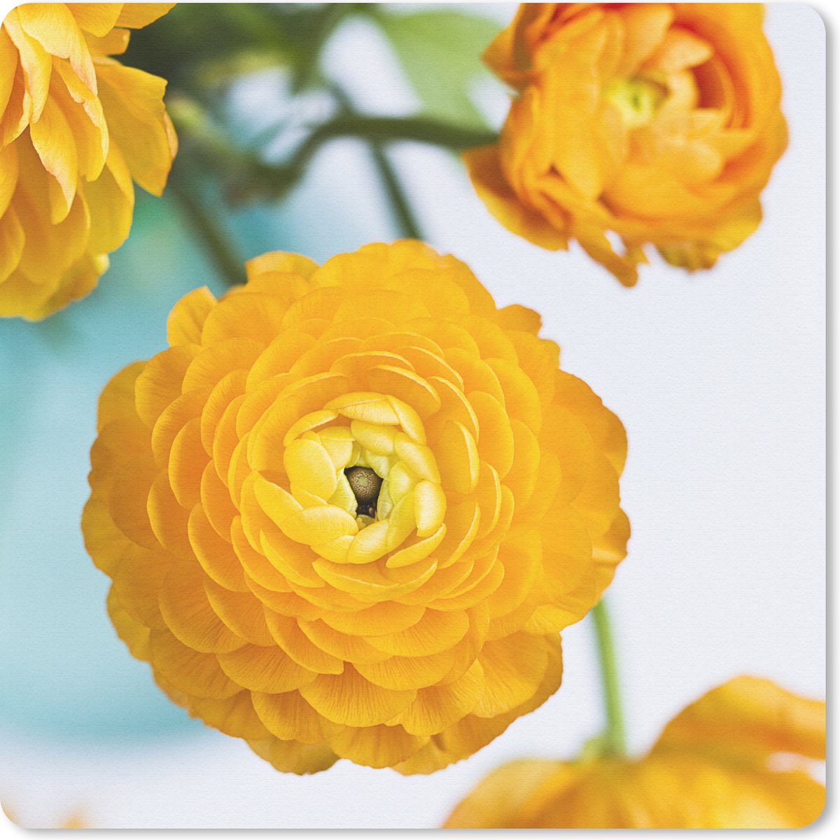 Muismat 30x30 cm - Mousepad Bloemen - Buiten - Oranje - Muismatten
