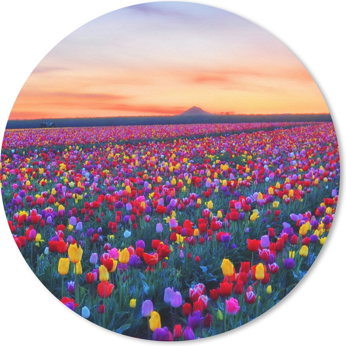 Muismat rond 20x20 cm - Mousepad Tulpen - Regenboog - Horizon - Ronde muismatten