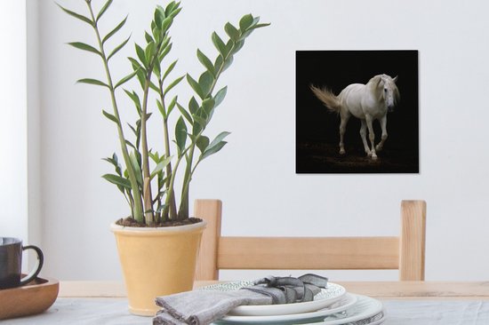 Cheval Wit devant une toile de fond noir 2cm 20x20 cm - petit - Tirage photo sur Toile (Décoration murale salon / chambre) / Animaux sauvages Peintures sur toile