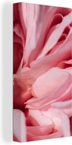 Canvas Schilderij De ingevouwen bladeren van een roze roos - 20x40 cm - Wanddecoratie