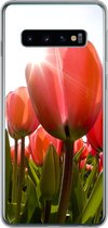 Geschikt voor Samsung Galaxy S10 hoesje - Bloemen - Tulpen - Zon - Siliconen Telefoonhoesje