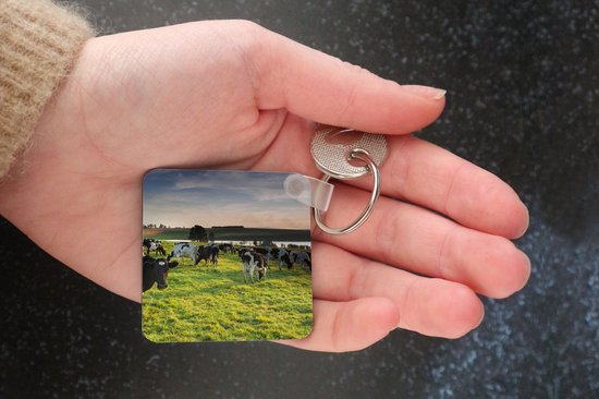 Sleutelhanger - Uitdeelcadeautjes - Koe - Gras - Zonsondergang - Plastic