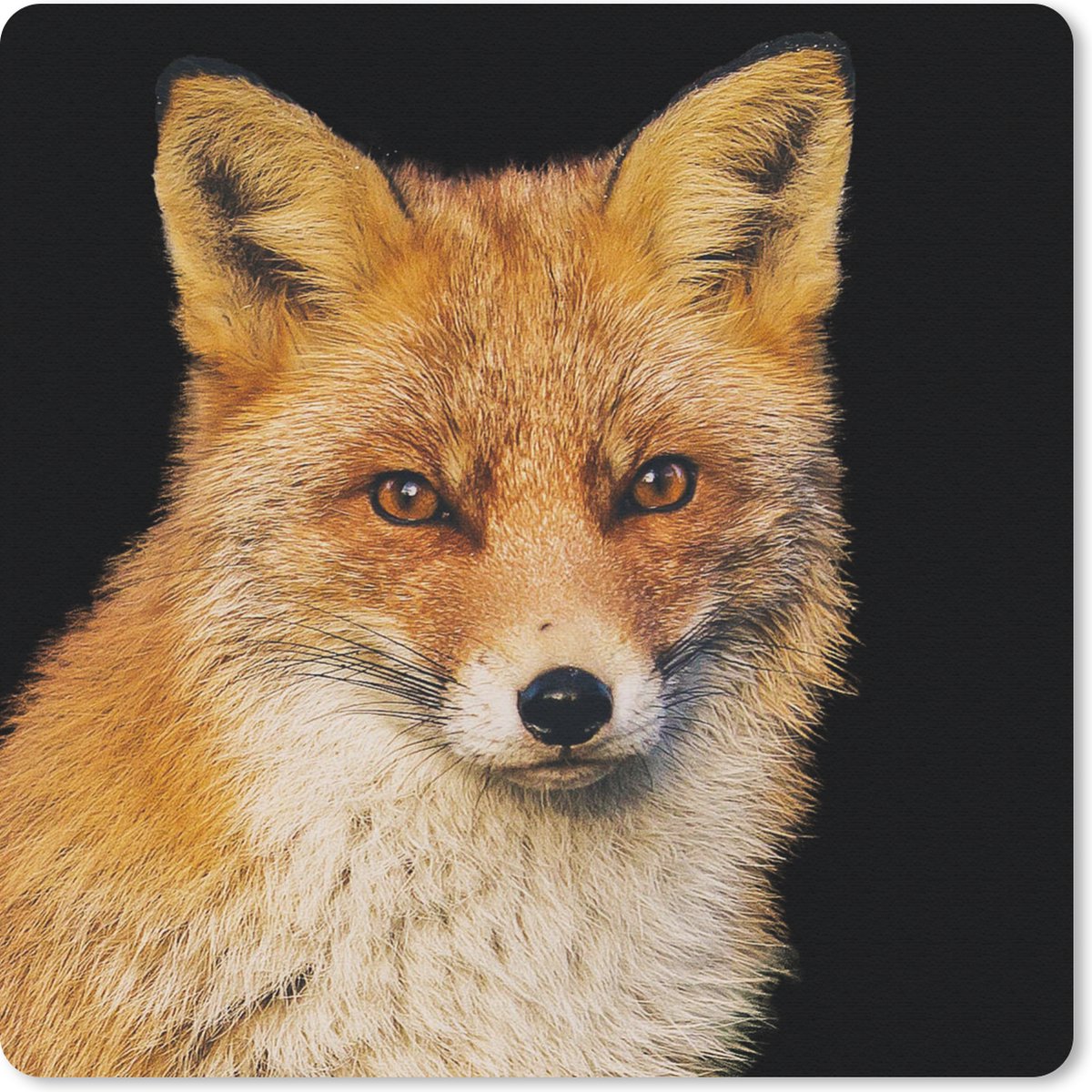 Muismat 30x30 cm - Mousepad Vos - Rood - Zwart - Muismatten