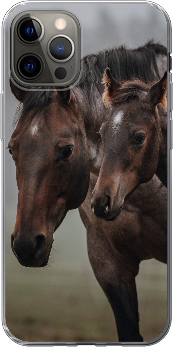 Telefoonhoesje Geschikt voor iPhone 13 Pro hoesje - Paarden - Mist - Landschap - Siliconen Telefoonhoesje Telefoonhoesje