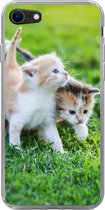 Geschikt voor iPhone 8 hoesje - Kittens - Kat - Mand - Meisjes - Kinderen - Jongens - Kids - Siliconen Telefoonhoesje