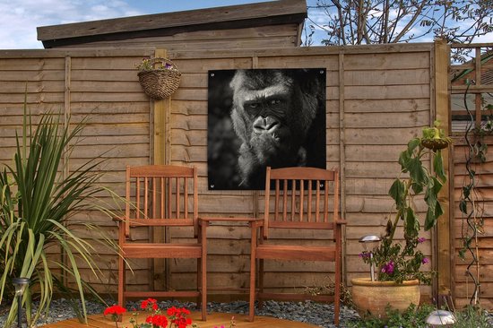 Posters de jardin Gorilla sur fond noir en noir et blanc - 50x50 cm - Toile jardin - Poster extérieur