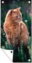 Wanddecoratie buiten Kat - Bloemen - Vacht - 80x160 cm - Tuindoek - Buitenposter