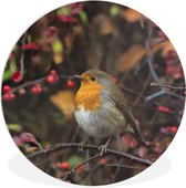 Wall Circle - Indoor Wall Circle - Branches - Robin - Nature - ⌀ 90 cm - Décoration murale - Peintures ronds
